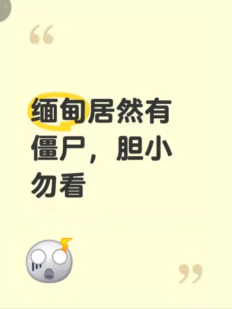 《缅甸僵尸出土事件》高清视频在线观看-缅北神秘事件揭秘-无删减完整版免费播放-僵尸出土真相全程录像
