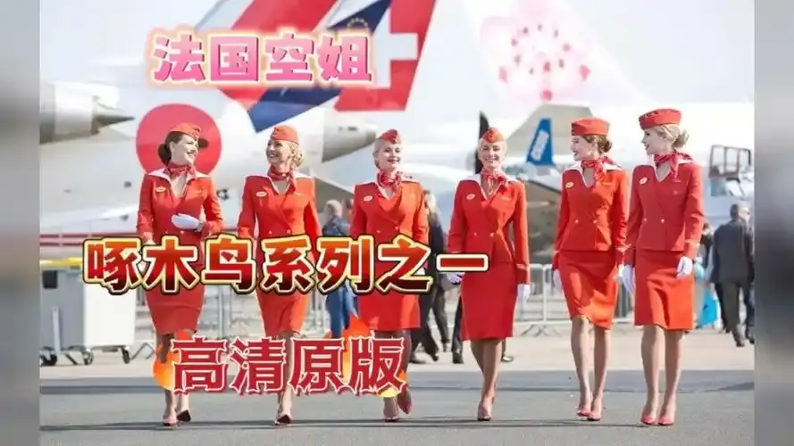 《法国空姐4》资源下载-免费观看法国完整版超高清在线观看-法国空姐2019满天星法版-法国空姐1-3季高清4K完整版